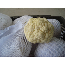 SGS/Top New Crop Fresh Vegetable Good Quality/2015 Competitive Cauliflower